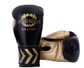 Pro Training Boxing Gloves