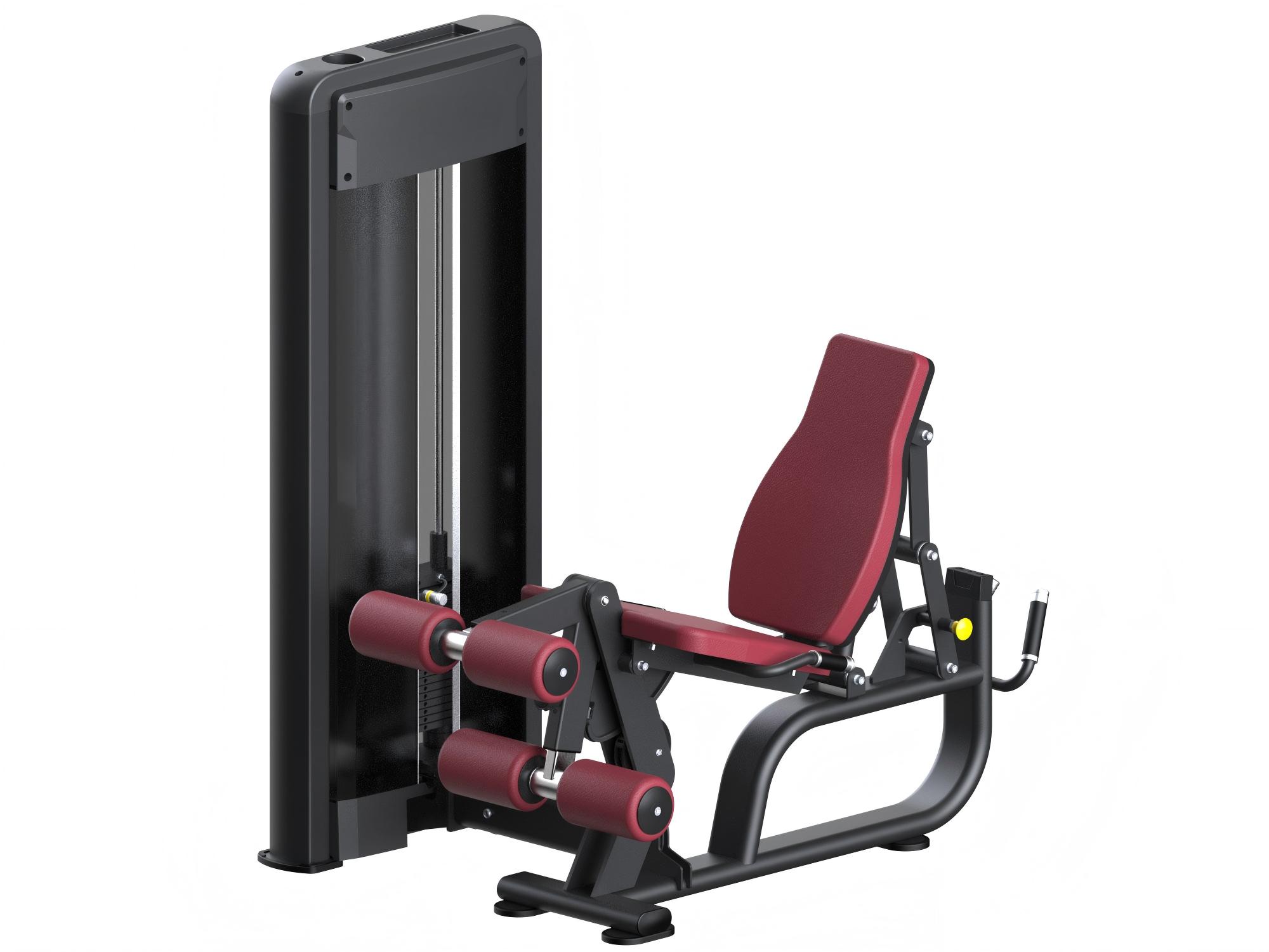 Leg Extension & Prone Leg Curl