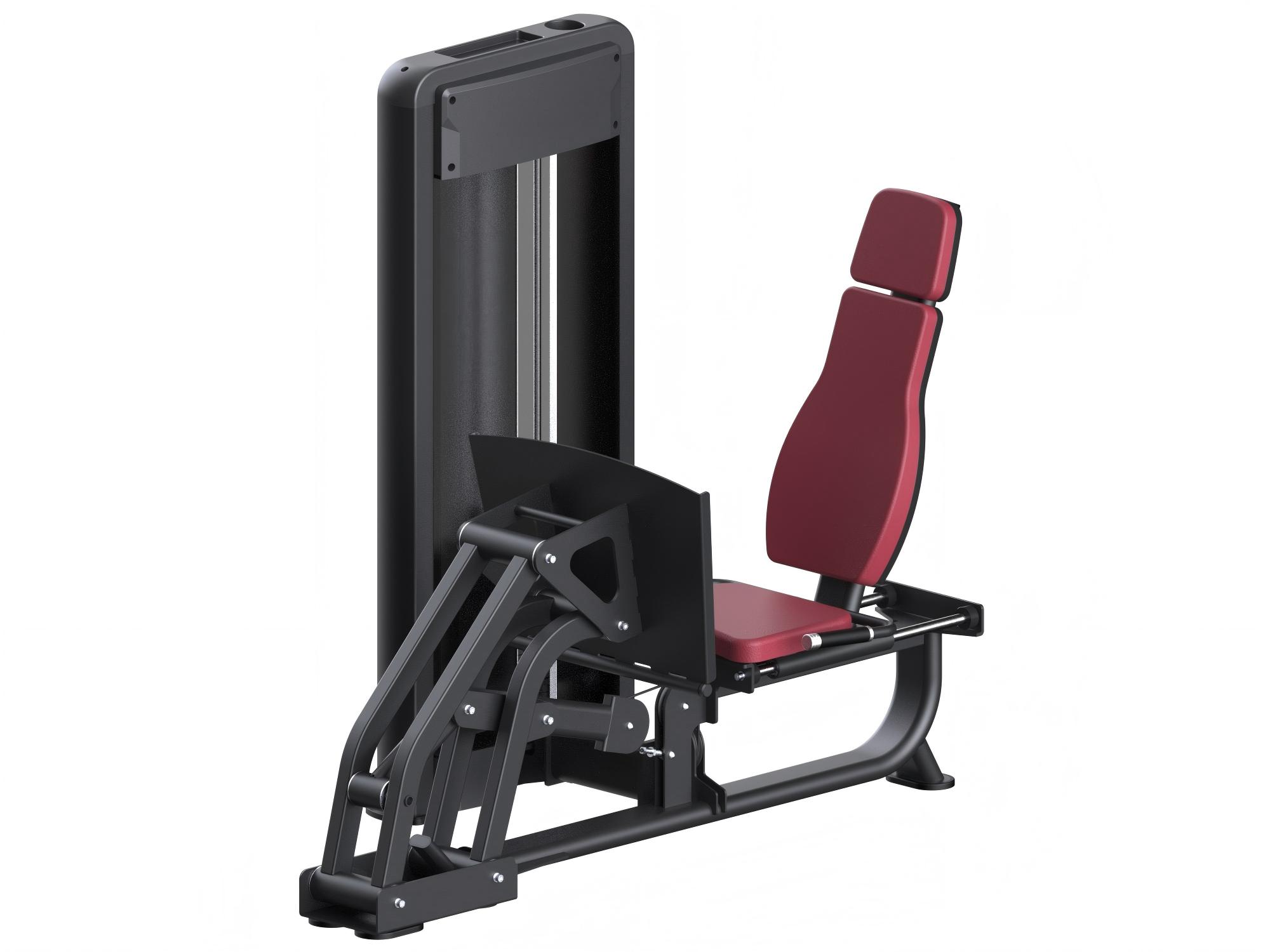 Selectorized Leg Press & Calf
