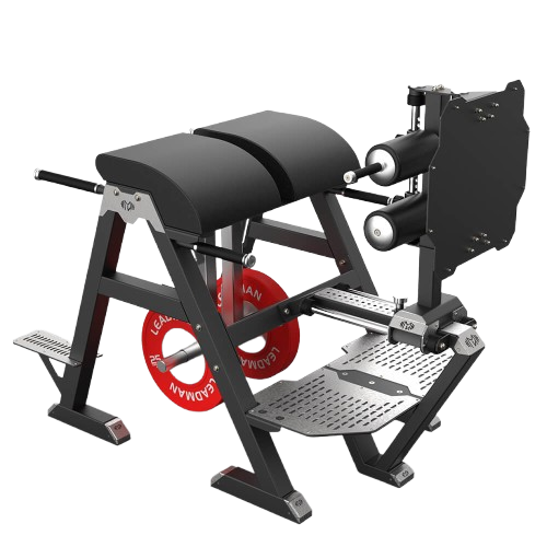 Glute Ham Developer (GHD/GHR)