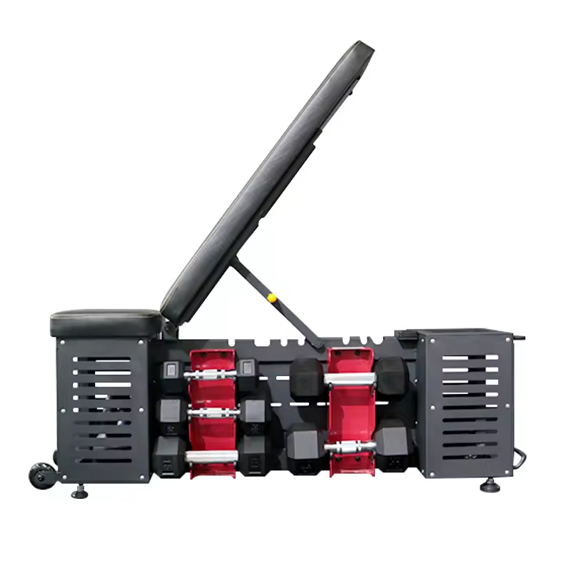 Adjustable Multifunctional Dumbbell Storage Bench